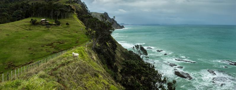 Looking towards Pakiri from Goat Island