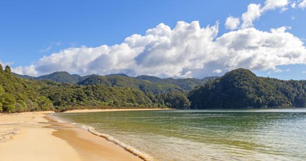 Discover Abel Tasman National Park | AA New Zealand