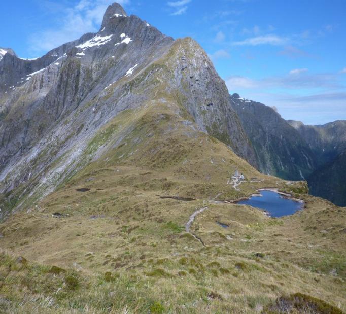 Scenic views on the Milford Track