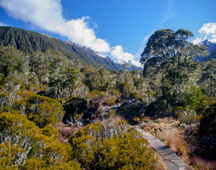 The St James walkway in Nelson Lakes National Park 