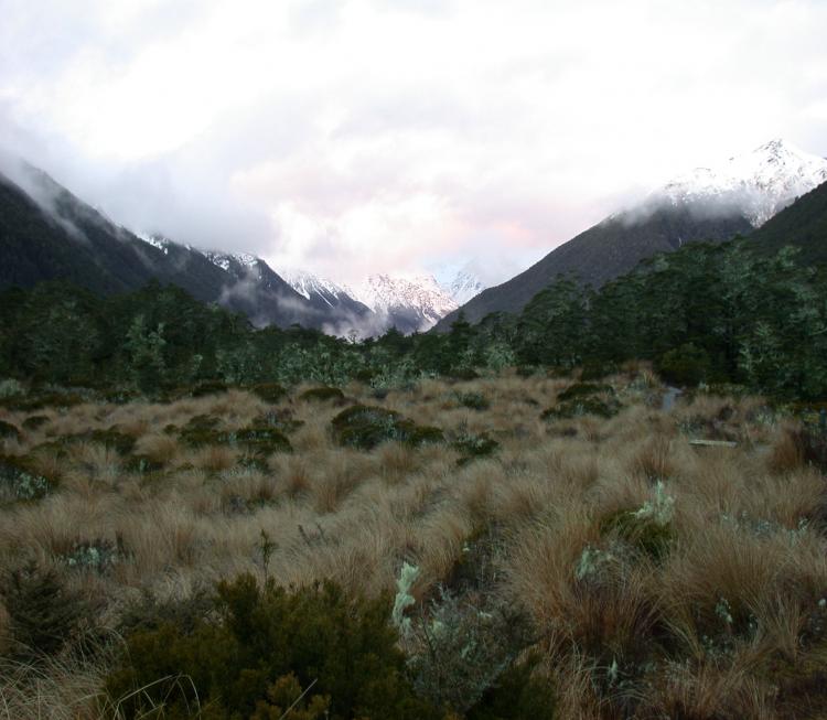 Lewis Pass, Nelson Lakes National Park 