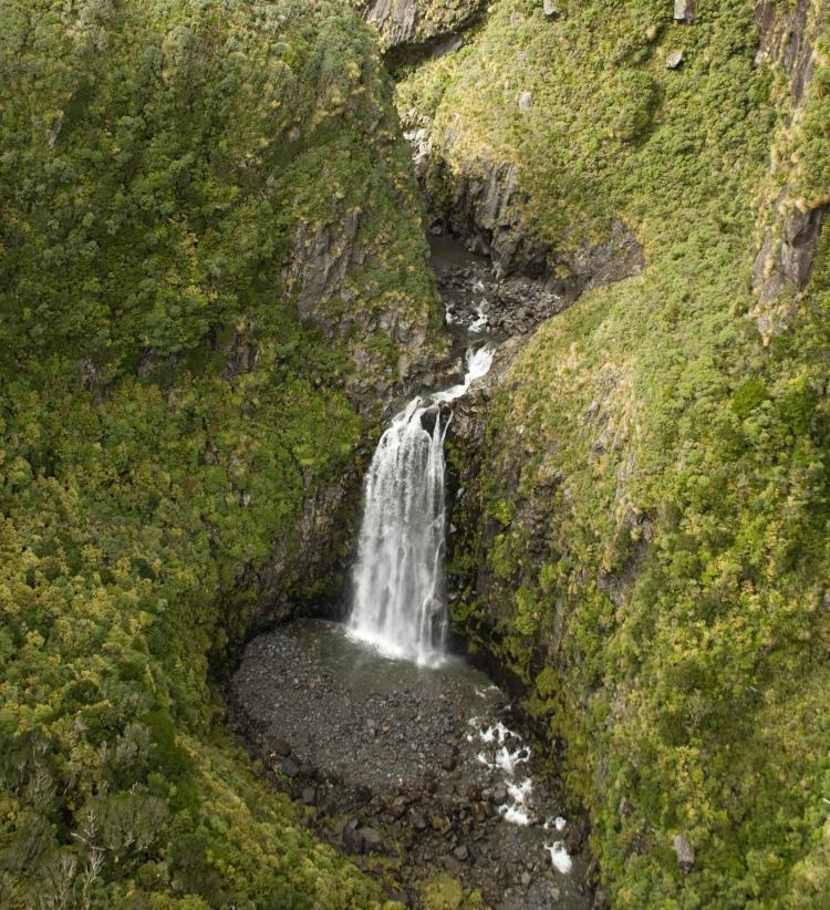 The mighty Bells Falls Te Rere o Tahurangi. 