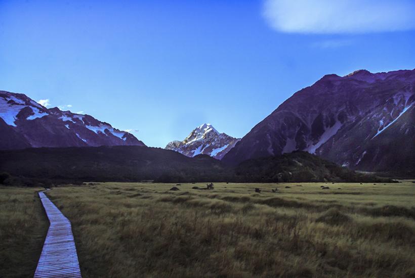 Kea Point Track