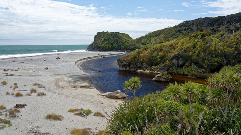 Walks north of Haast township | AA New Zealand