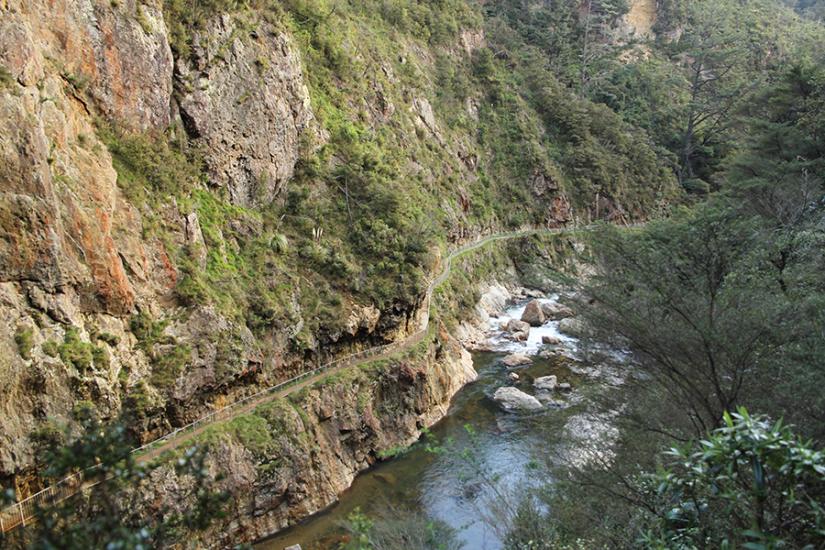 Windows Walk, Karangahake Gorge