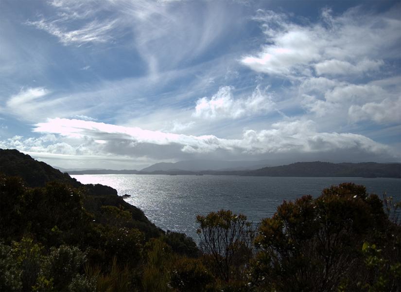 From Flagstaff Point Lookout, Ulva Island