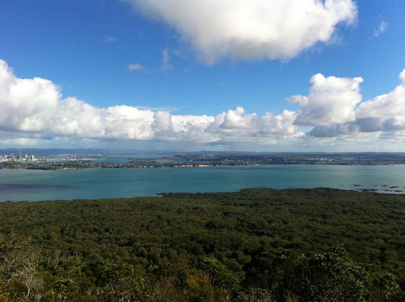 View from Rangitoto Summit 