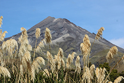 Mt Taranaki