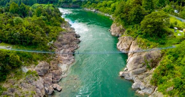 Cross The Buller River On One Of New Zealand S Longest Swing