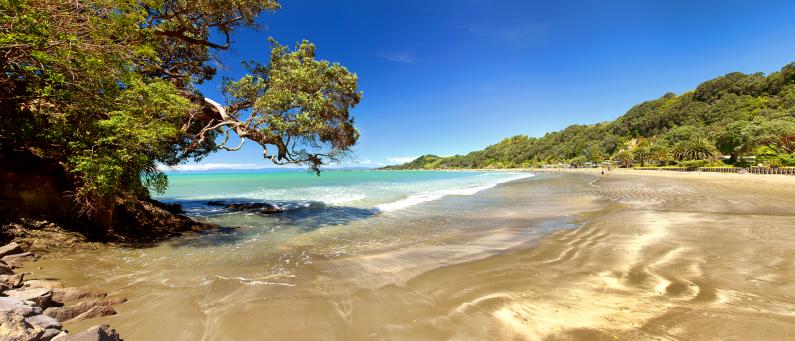 Discover Ohope Beach, New Zealand: A Paradise for Travel Enthusiasts