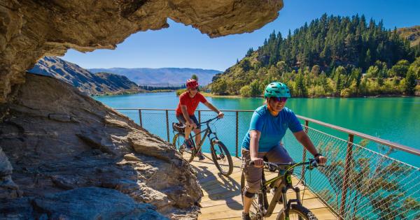 Ride the cycle trails of Central Otago | AA New Zealand