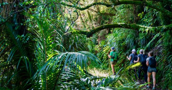 Walk or ride Marlborough’s Nydia Track | AA New Zealand