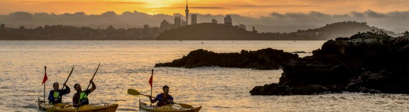 Auckland Kayaks