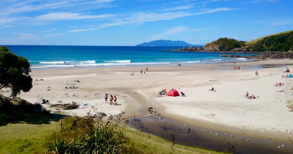 Matakana coast and country: weekend wonderland | AA New Zealand