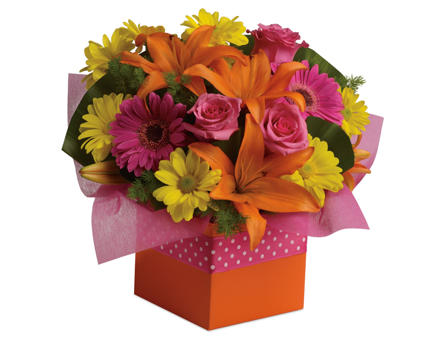 AA Members Save 20% From Teleflora New Zealand | AA New Zealand