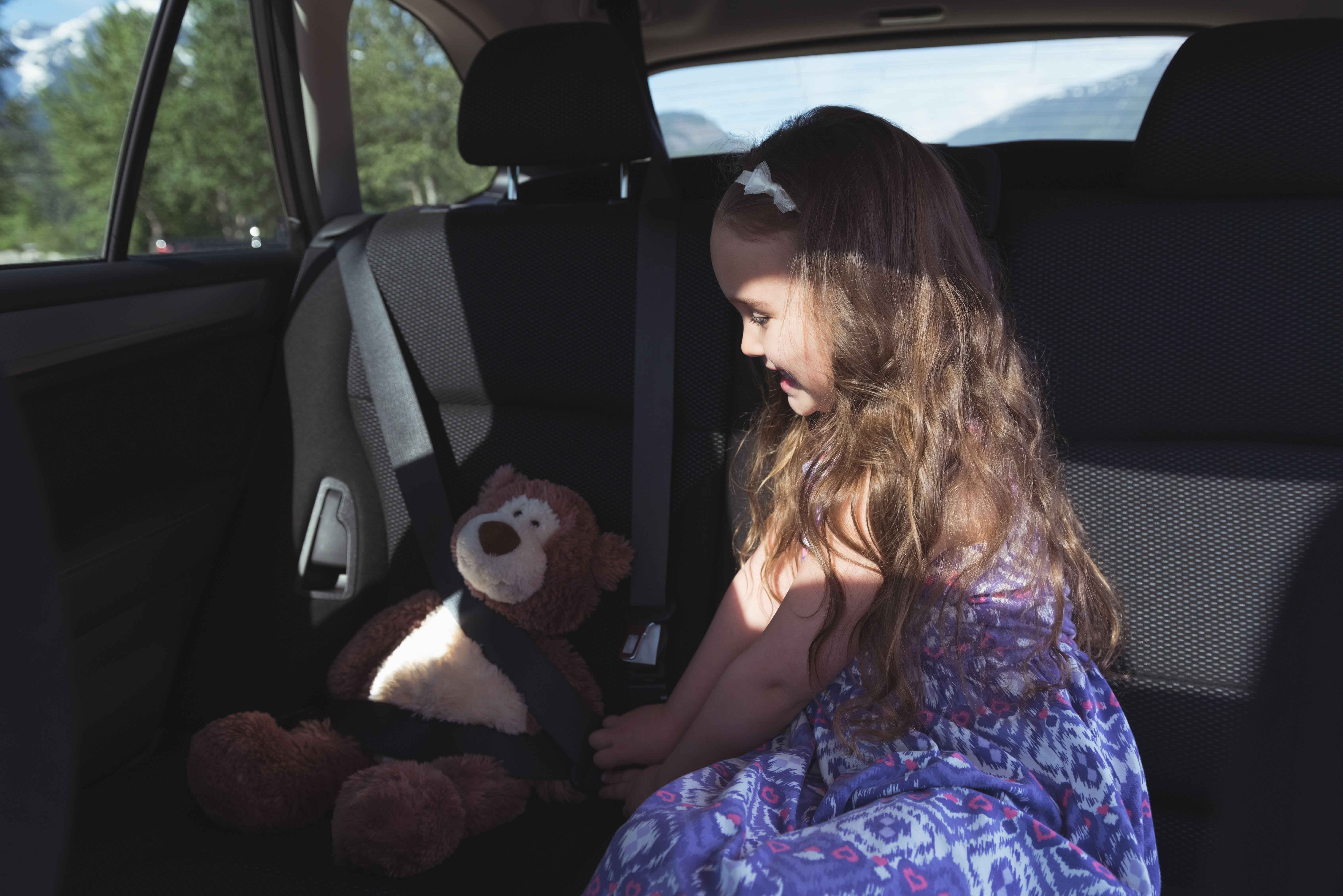 seatbelt teddy bear with seatbelt
