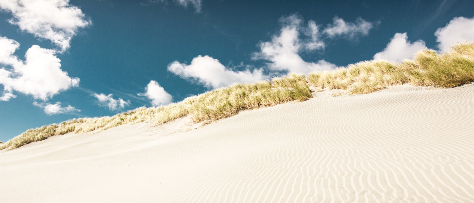 Farewell Spit: a sandy phenomenon