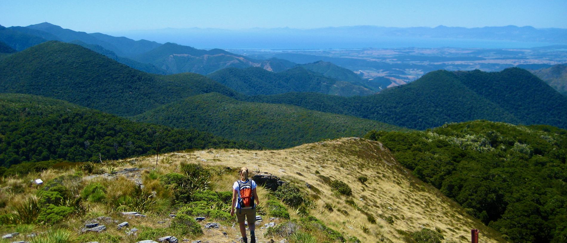 Kahurangi National Park: a treasured possession