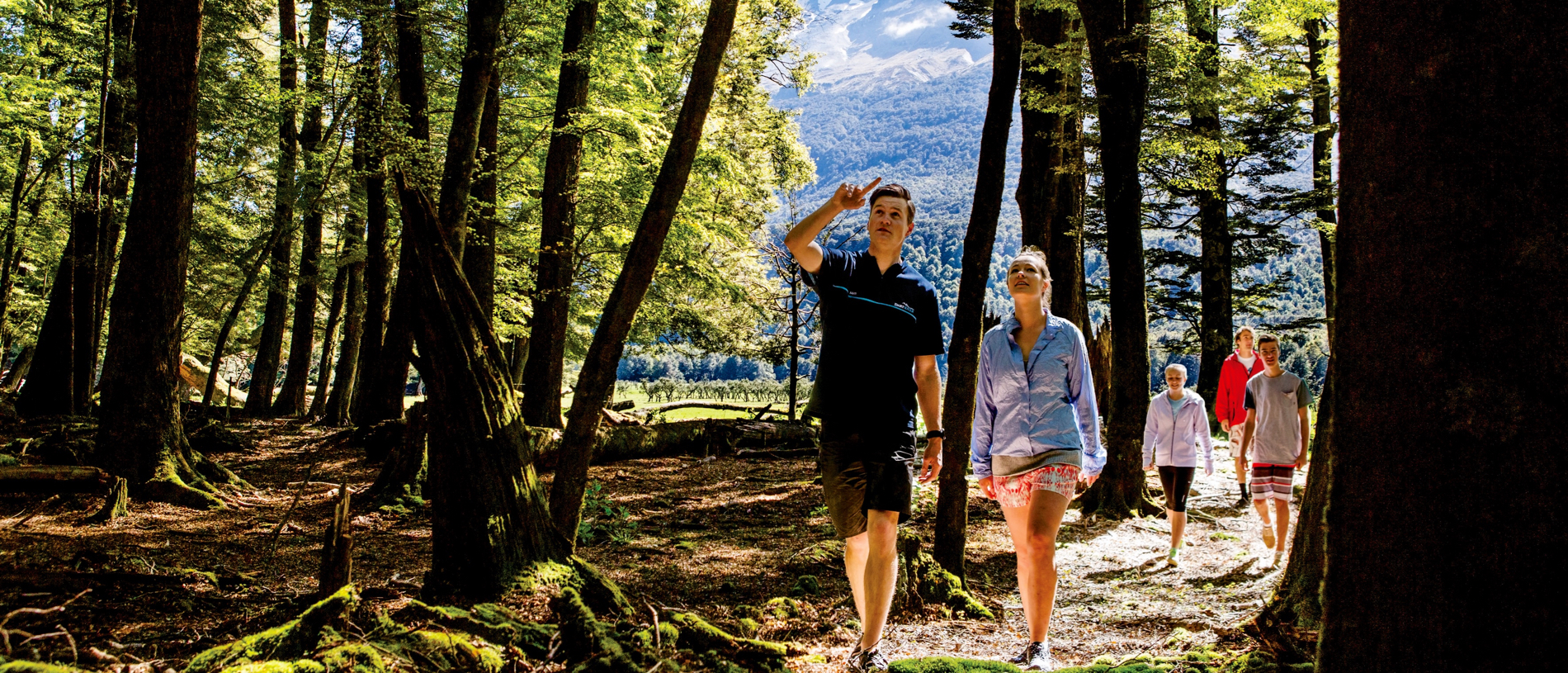 Explore the walking trails of Glenorchy