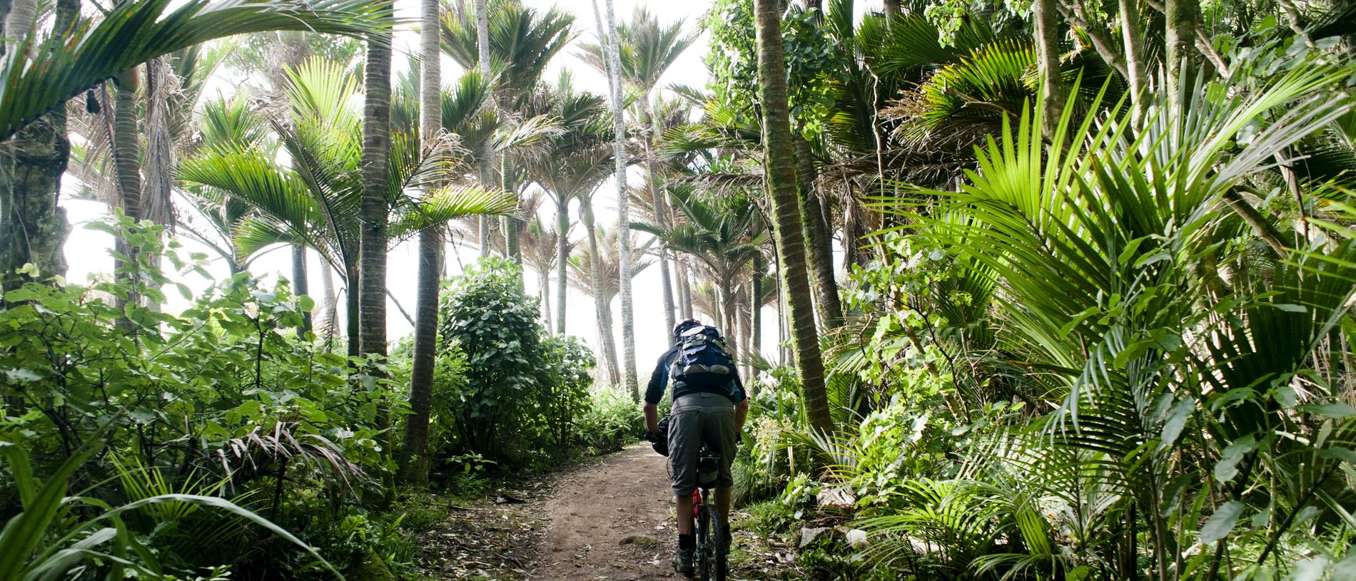 The Heaphy Track: in the footsteps of explorers