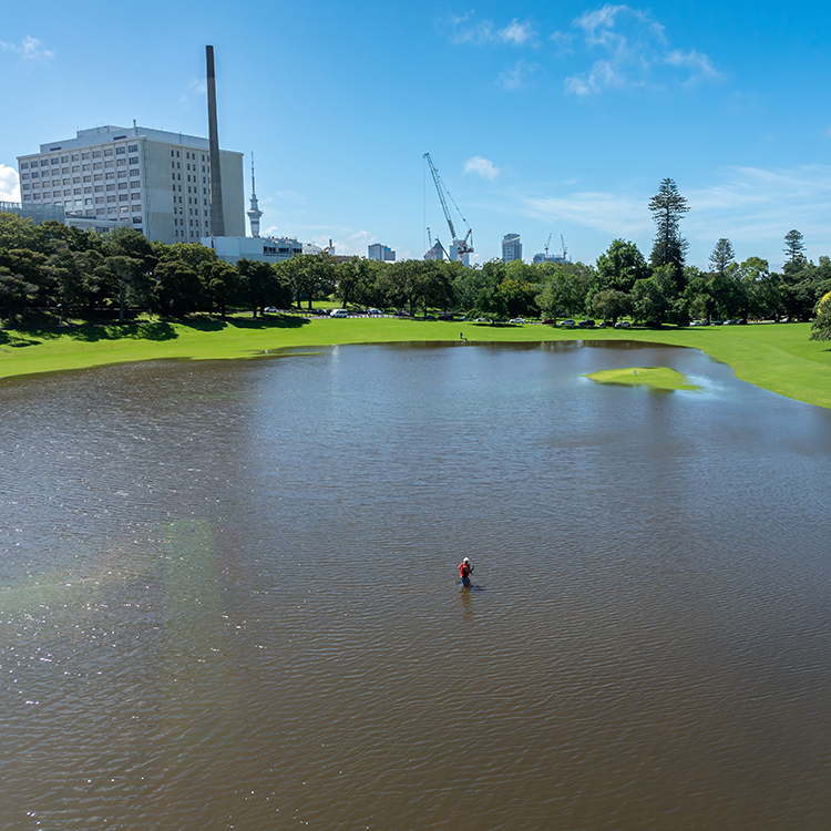 Flooding in the Auckland Domain after severe summer storms.