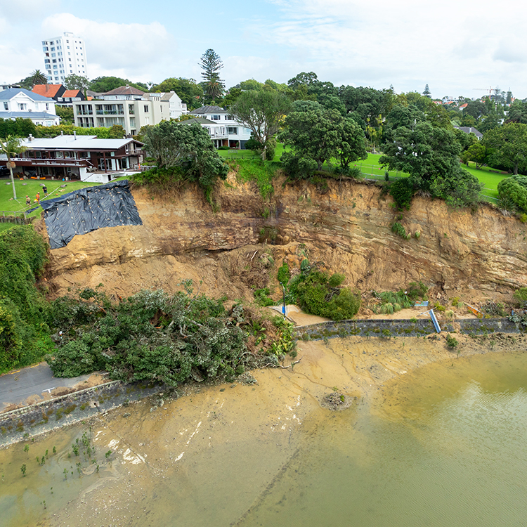 Cliff erosion in Parnell, Auckland.