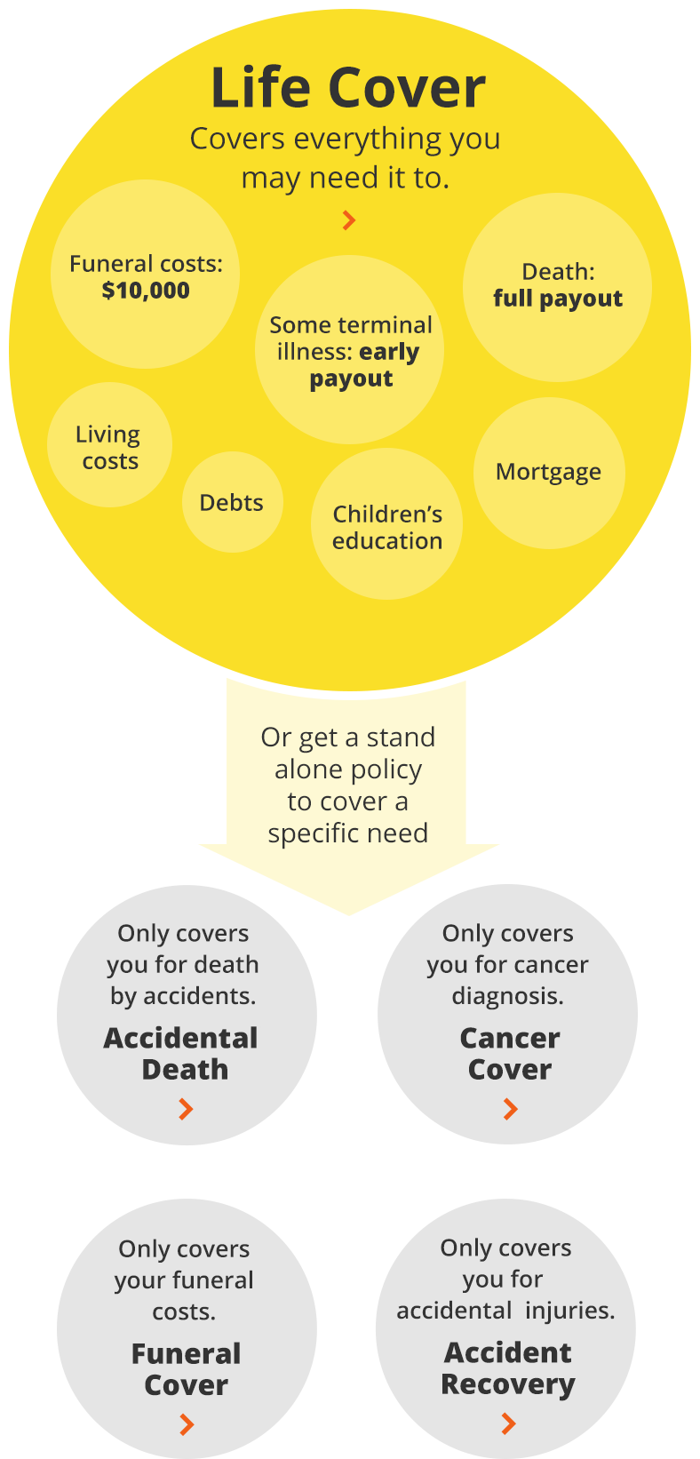 what does life insurance cover nz