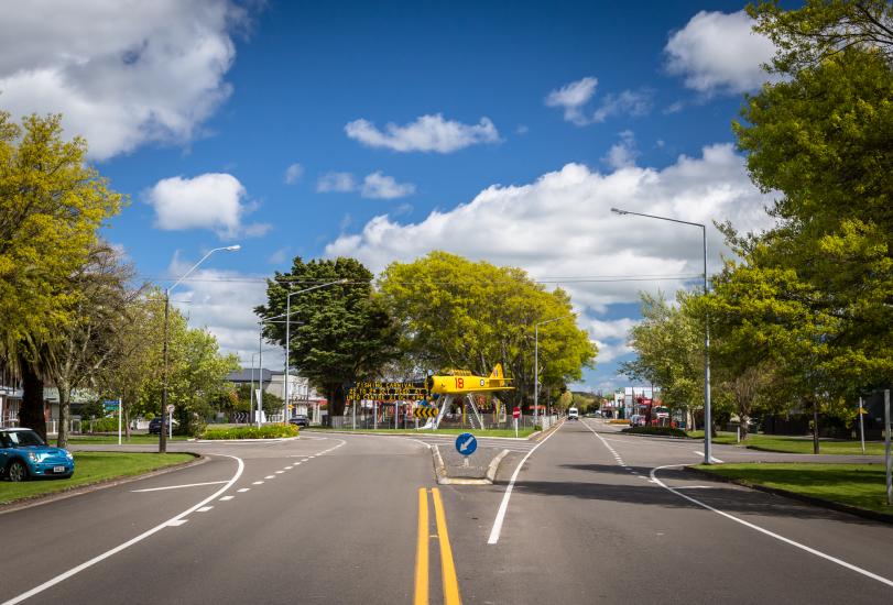 Pahiatua’s avenue of trees and park: a great place for a picnic.